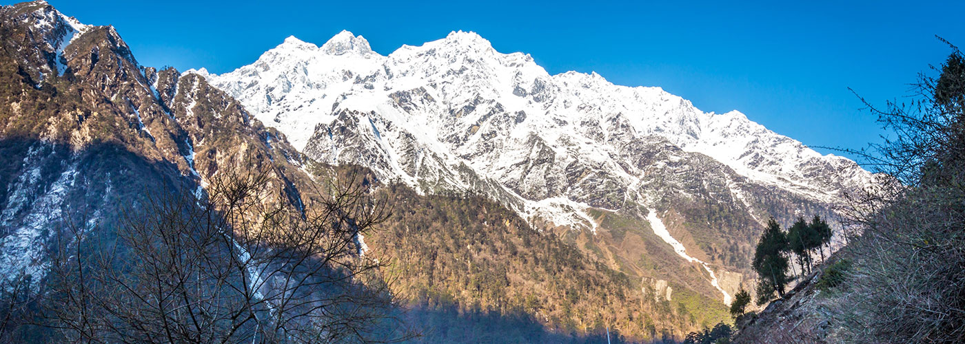 Singalila Dzongri Trek