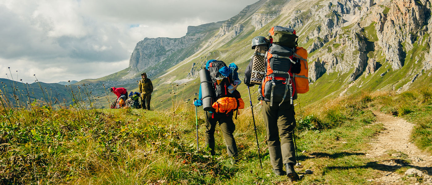 Barsey Alpine Bloom Walk