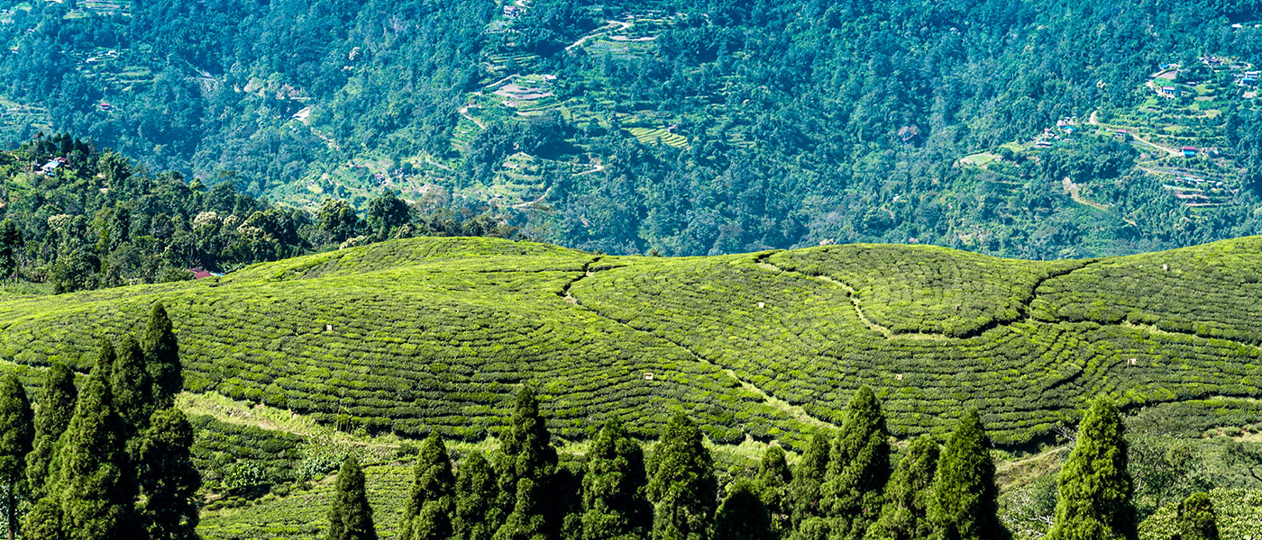 Hills of Darjeeling & Sikkim Tour